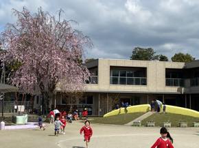 篠村幼稚園