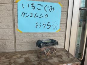 篠村幼稚園